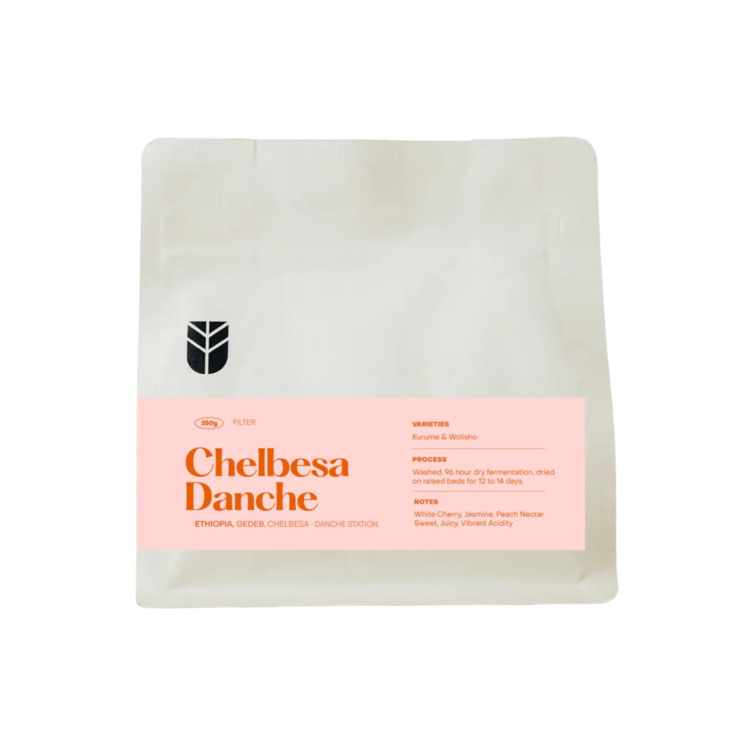Subtext Coffee  -  Chelbesa Danche