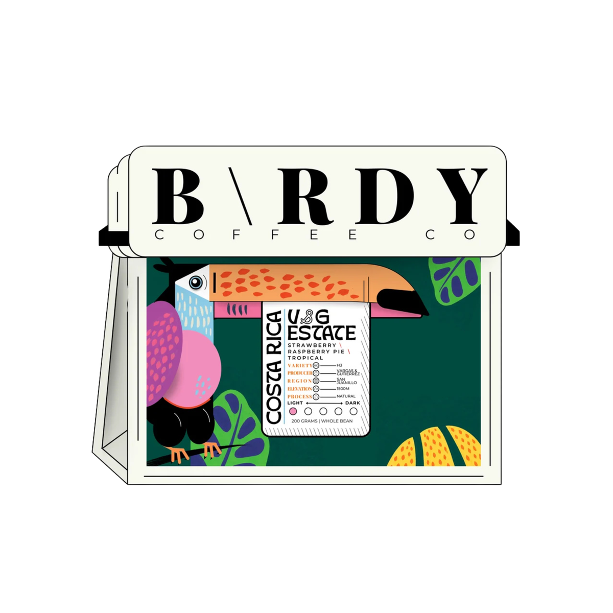 Birdy Coffee - COSTA RICA | V&G Estate