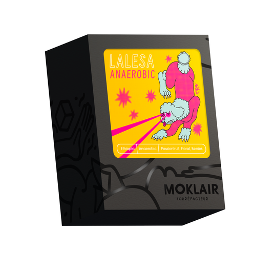LALESA ANAEROBIC - Moklair