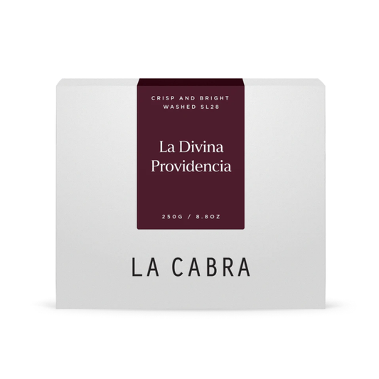 La Divina Washed SL28 - La Cabra Coffee