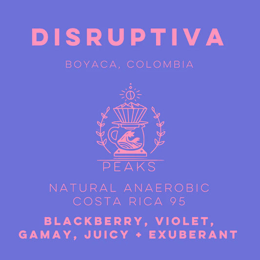 Lulo Coffee - Disruptiva Natural Anaerobic Costa Rica 95
