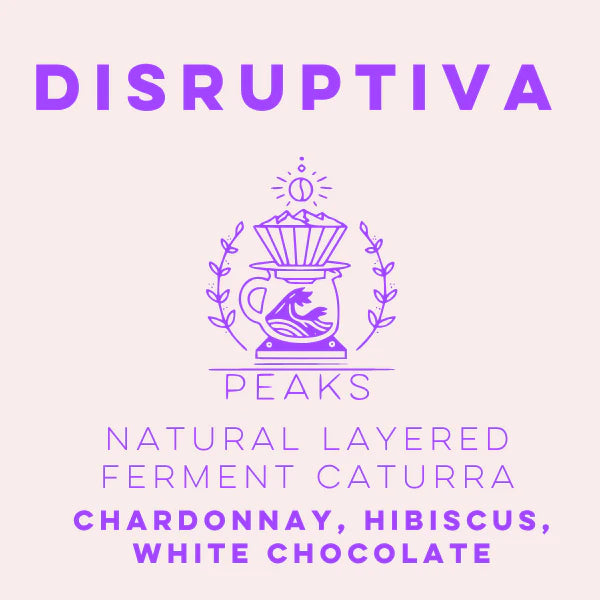 Lulo Coffee - Disruptiva Natural Layered Ferment Caturra