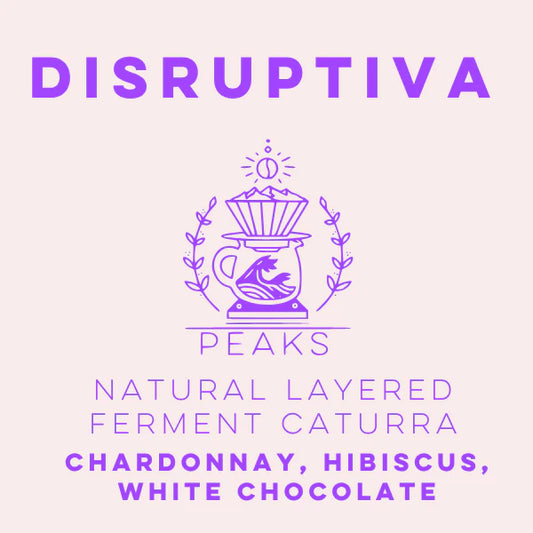Lulo Coffee - Disruptiva Natural Layered Ferment Caturra