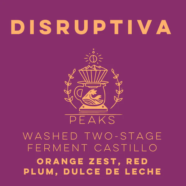 Lulo Coffee - Disruptiva Washed Two-Stage Ferment Castillo