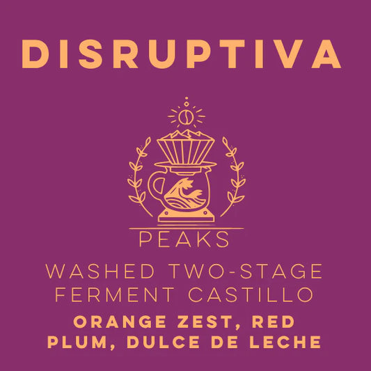 Lulo Coffee - Disruptiva Washed Two-Stage Ferment Castillo